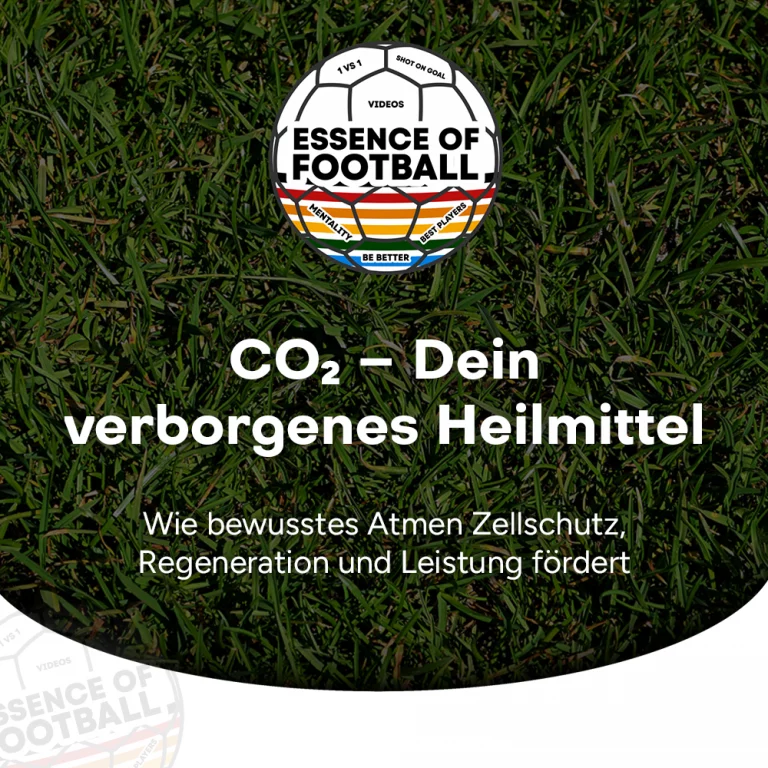 EoF-CO2-DE